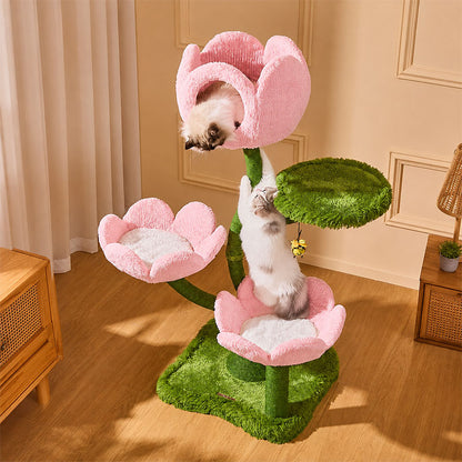 Blooming Tulip Cat Climbing Tree