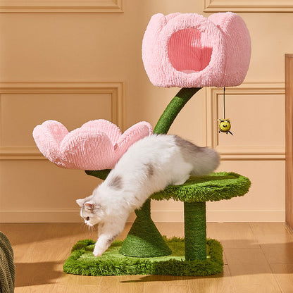 Blooming Tulip Cat Climbing Tree