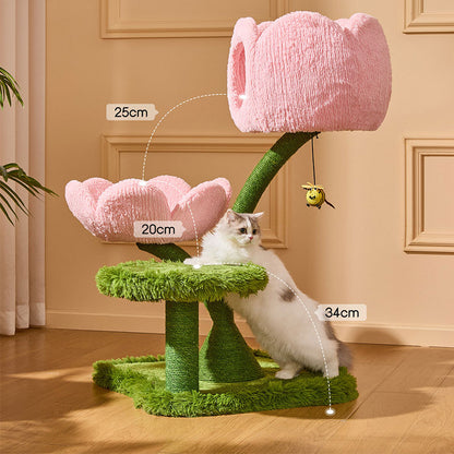 Blooming Tulip Cat Climbing Tree