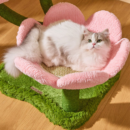 Blooming Tulip Cat Climbing Tree