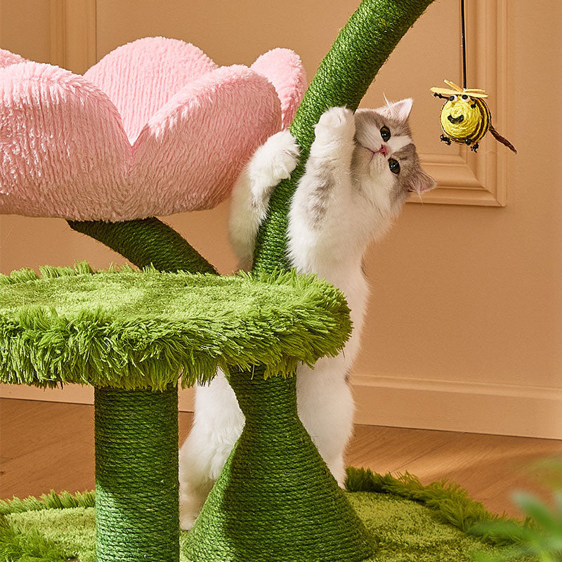 Blooming Tulip Cat Climbing Tree