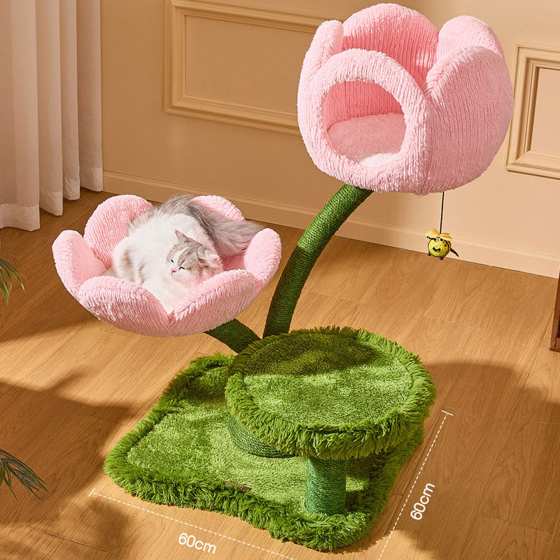 Blooming Tulip Cat Climbing Tree