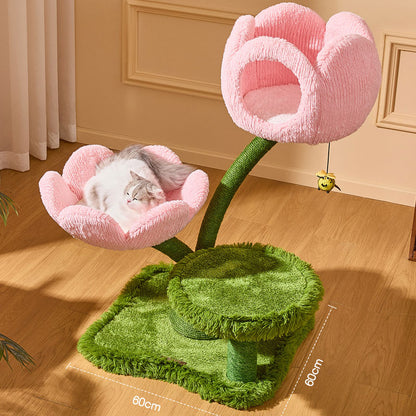 Blooming Tulip Cat Climbing Tree