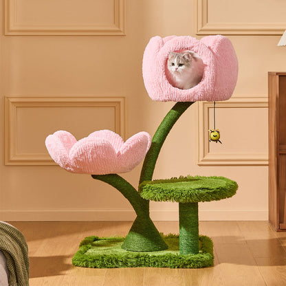 Blooming Tulip Cat Climbing Tree