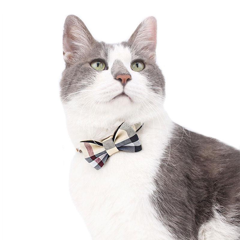 British Style Gentleman Cat Collar