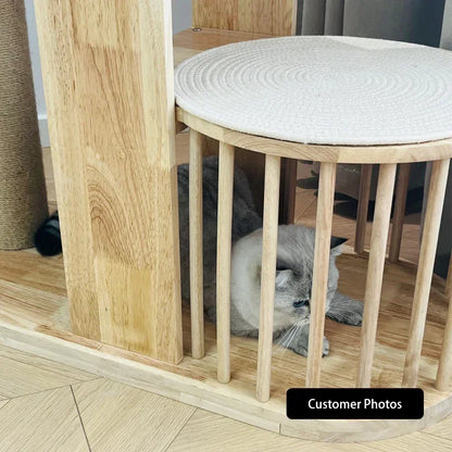 Capsule Climbing Wood Tree for Multiple Cat
