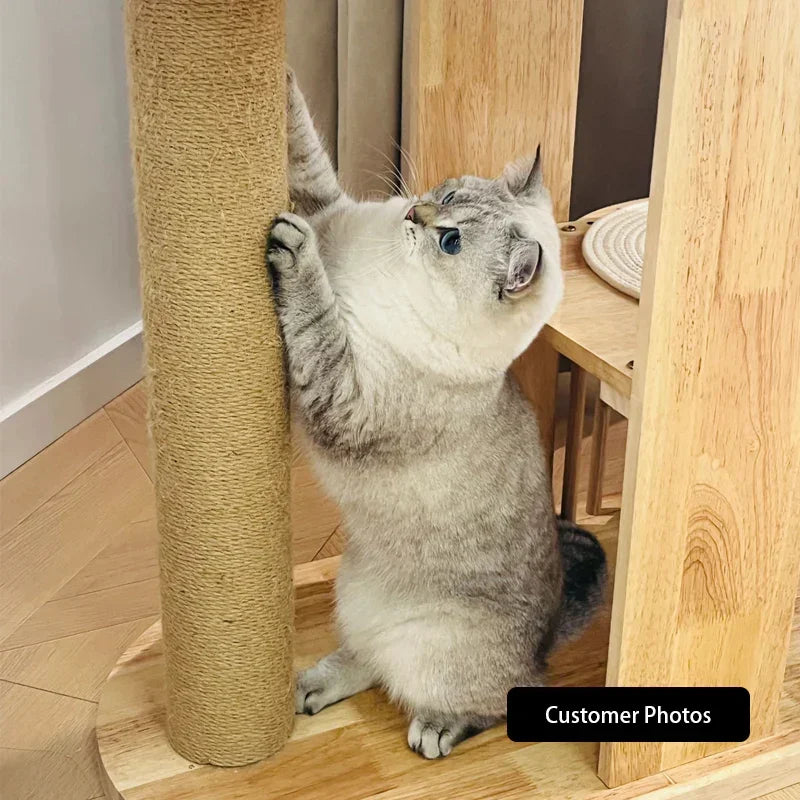 Capsule Climbing Wood Tree for Multiple Cat