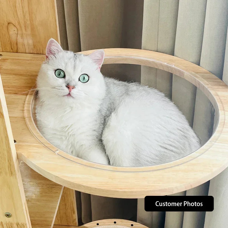 Capsule Climbing Wood Tree for Multiple Cat