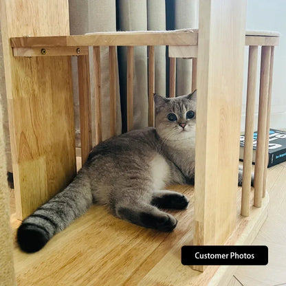 Capsule Climbing Wood Tree for Multiple Cat