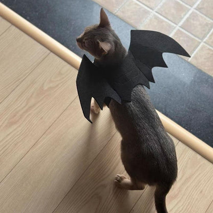Cat Bat Wing Cosplay Halloween 3 Color Costume Props