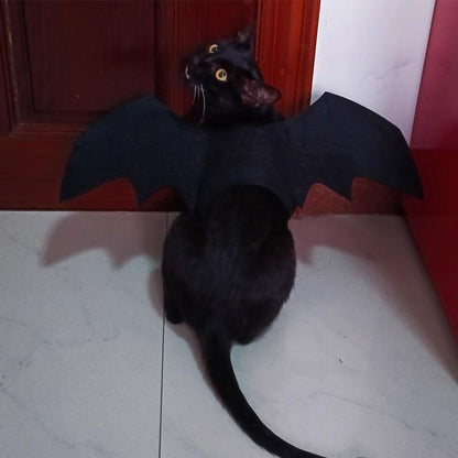 Cat Bat Wing Cosplay Halloween 3 Color Costume Props