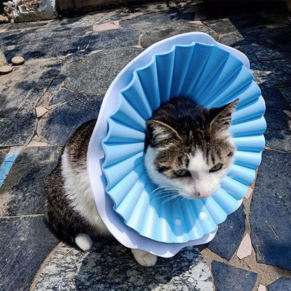 Cat Cone Collar Adjustable Headgear (1)