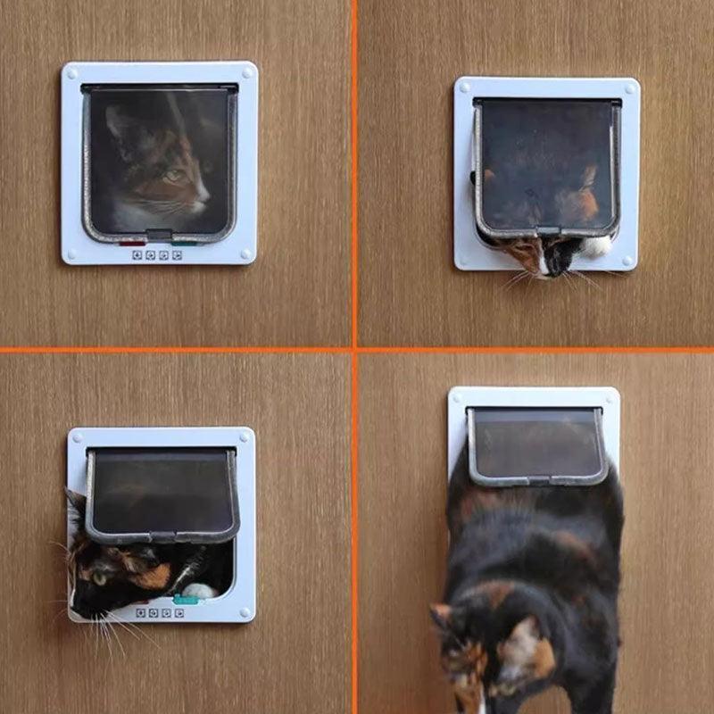 Cat door with window Free access