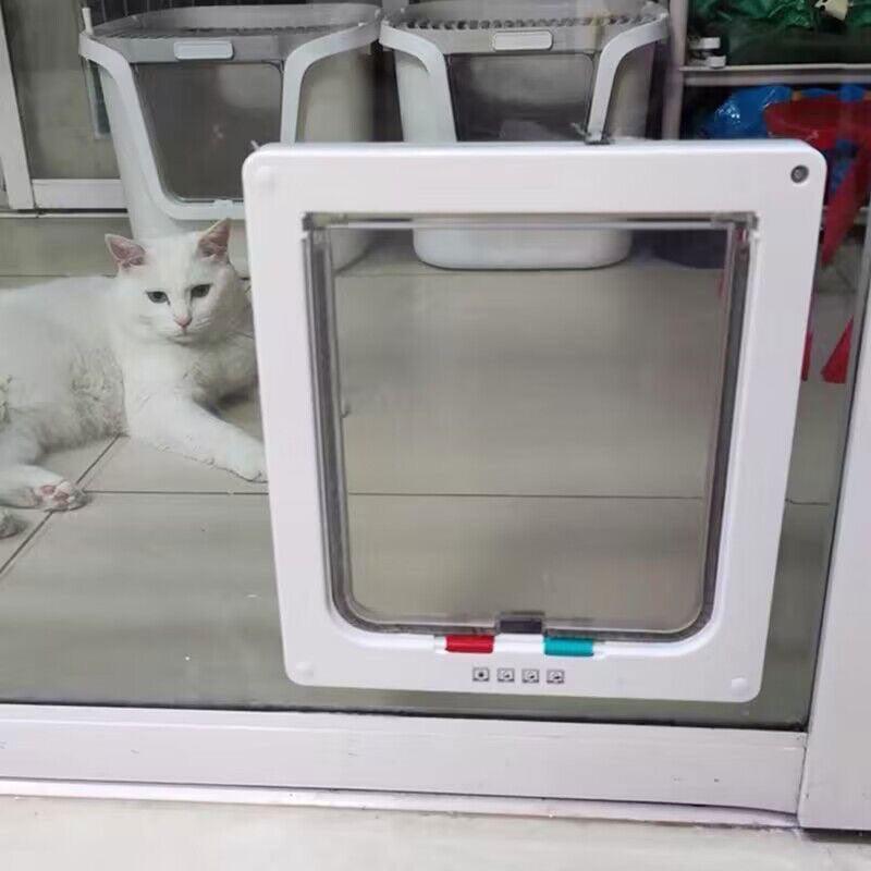 Cat door with window Free access