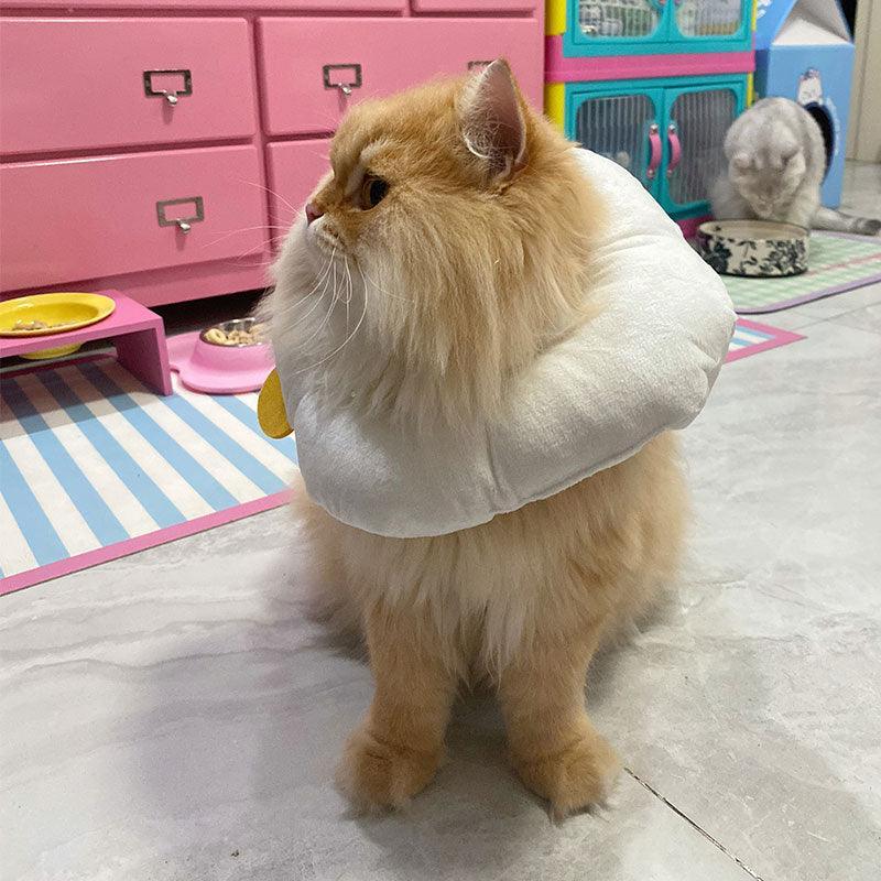 Chicks Cat Elizabethan Collar Cat Cone Headgear