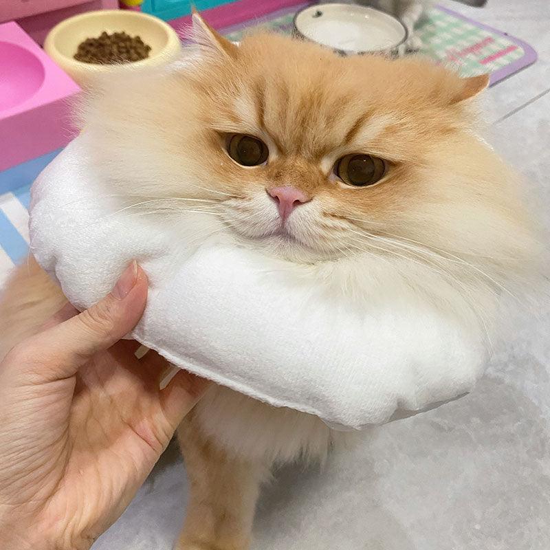 Chicks Cat Elizabethan Collar Cat Cone Headgear