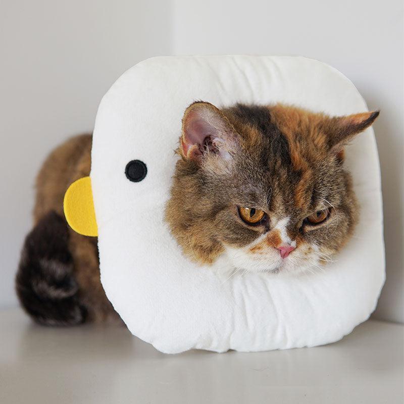Chicks Cat Elizabethan Collar Cat Cone Headgear