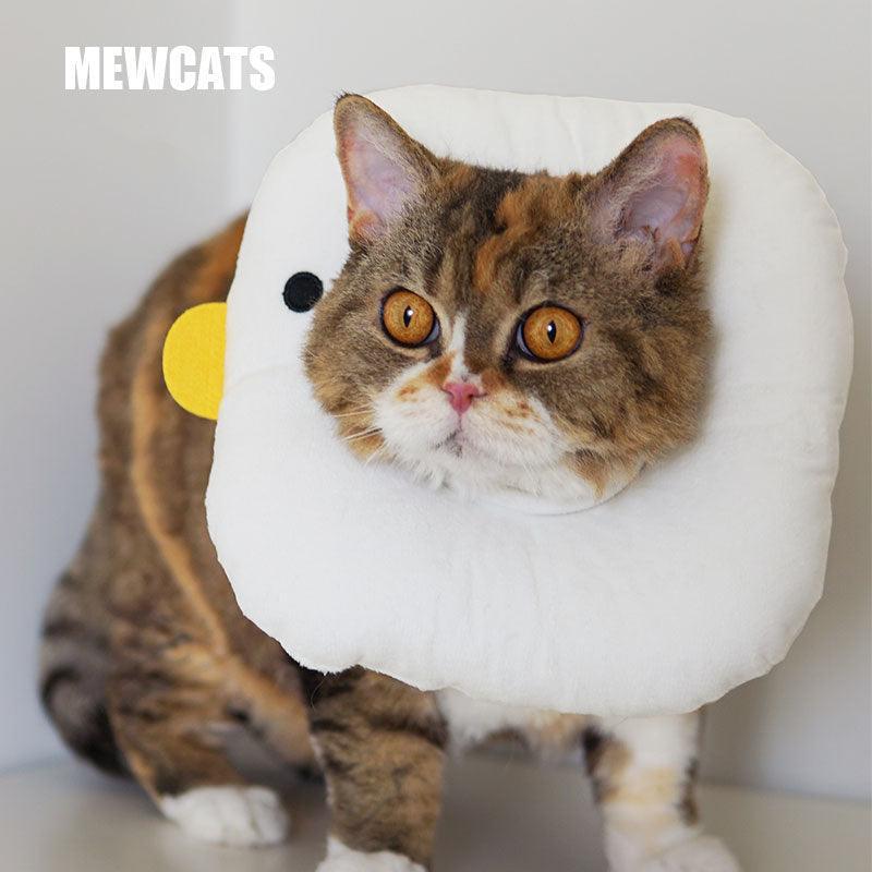 Chicks Cat Elizabethan Collar Cat Cone Headgear