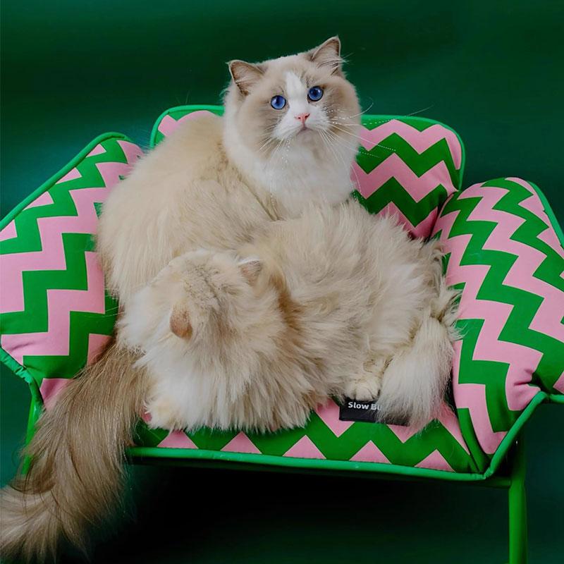 Christmas Pet Sofa Chair Cat Elevated Bed