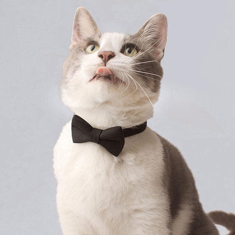 Classic Suit Bow Cat Collar