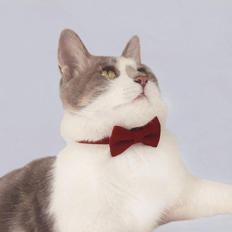 Classic Suit Bow Cat Collar