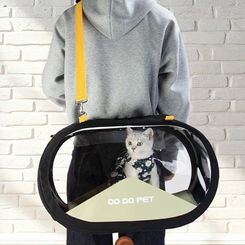 Clear View Cat Trolley Carrier for Easy Travel