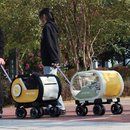 Clear View Cat Trolley Carrier for Easy Travel