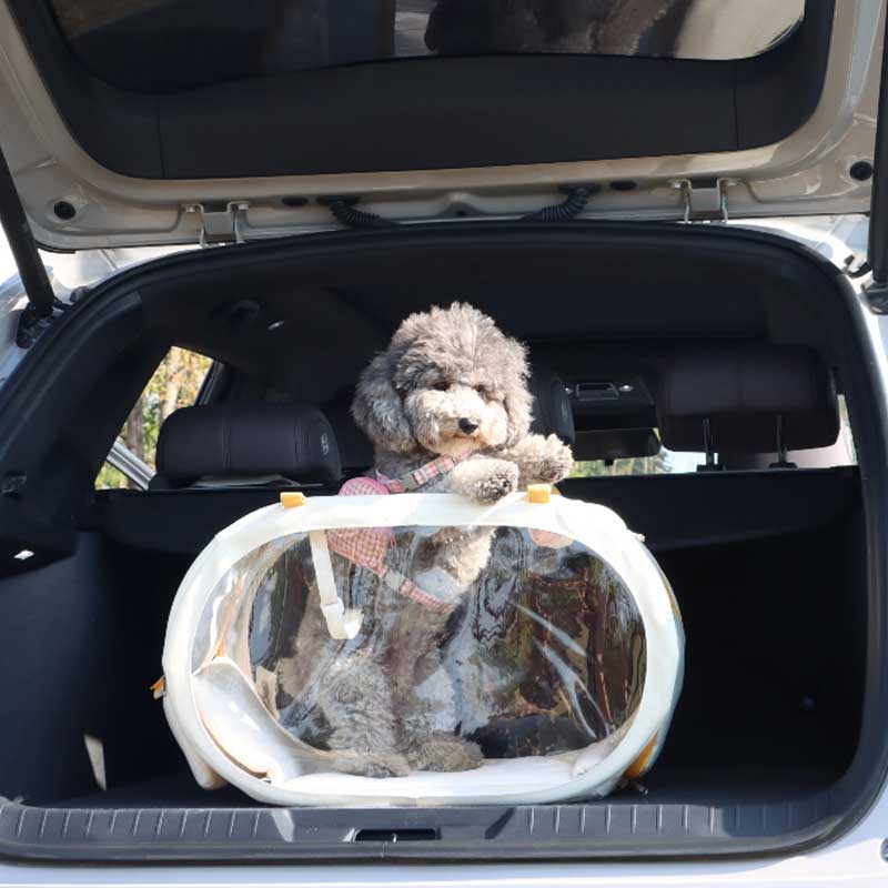 Clear View Cat Trolley Carrier for Easy Travel