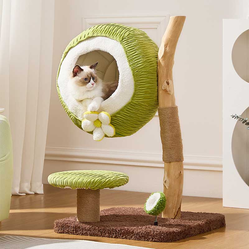 Coconut Grove Solid Wood Cat Climbing Tree
