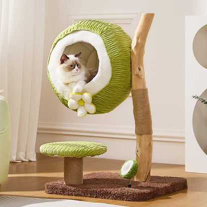 Coconut Grove Solid Wood Cat Climbing Tree