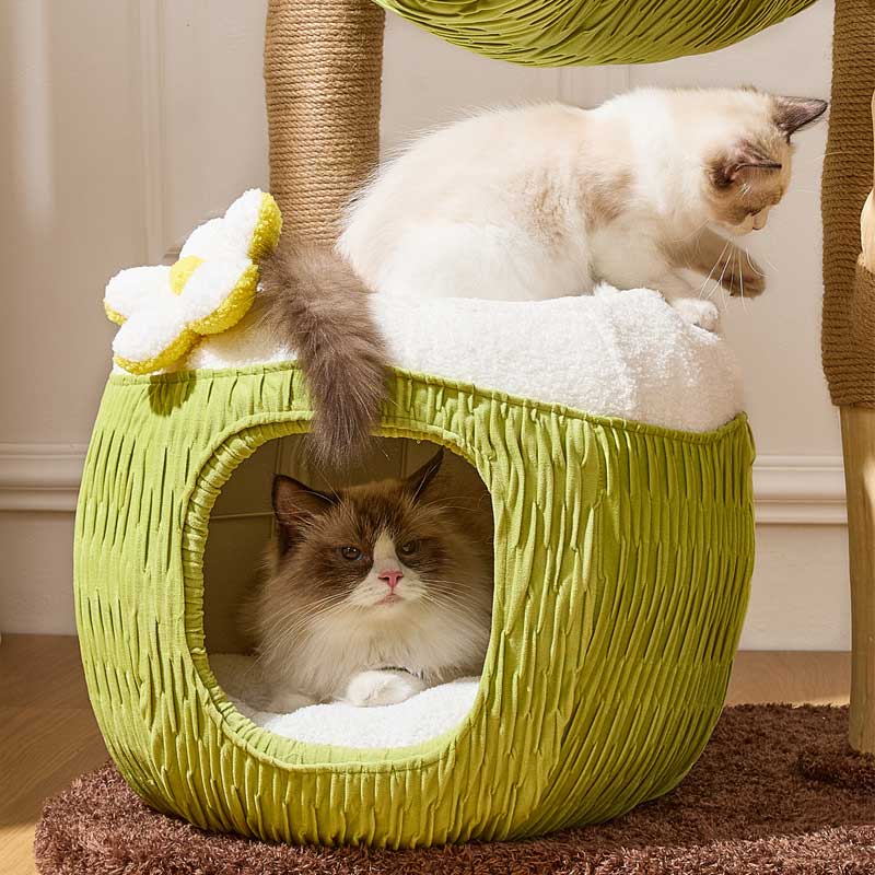 Coconut Grove Solid Wood Cat Climbing Tree