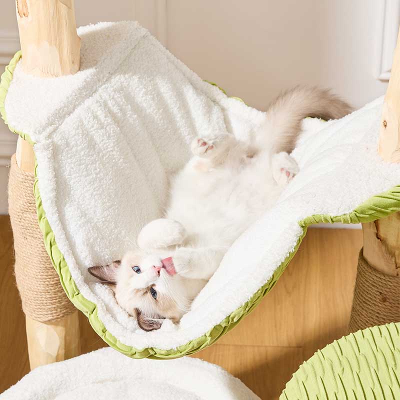 Coconut Grove Solid Wood Cat Climbing Tree