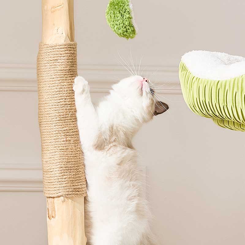 Coconut Grove Solid Wood Cat Climbing Tree