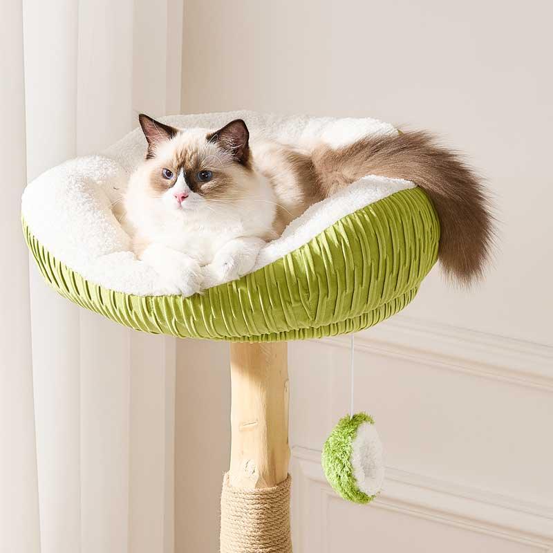 Coconut Grove Solid Wood Cat Climbing Tree – MEWCATS