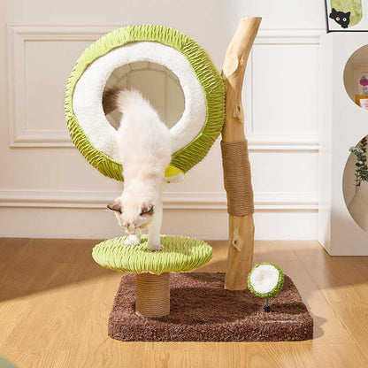 Coconut Grove Solid Wood Cat Climbing Tree
