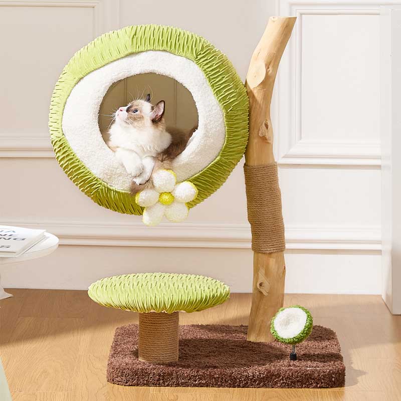 Coconut Grove Solid Wood Cat Climbing Tree