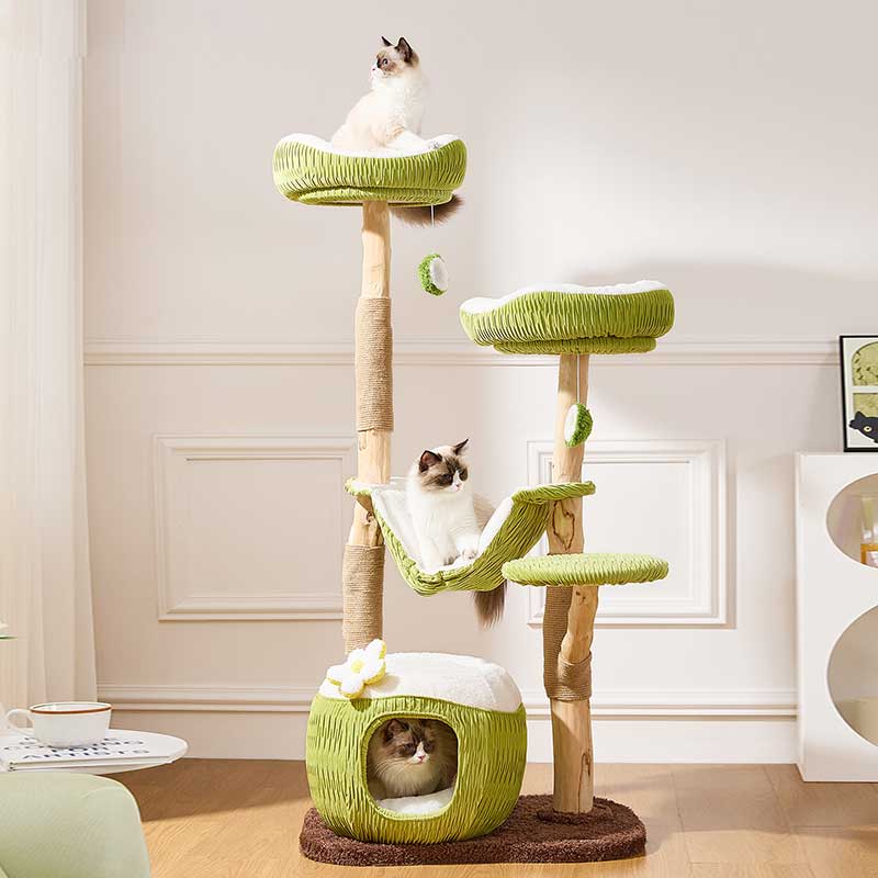 Coconut Grove Solid Wood Cat Climbing Tree