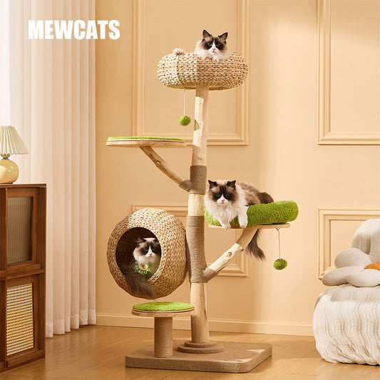 Coconut Grove Solid Wood Cat Climbing Tree