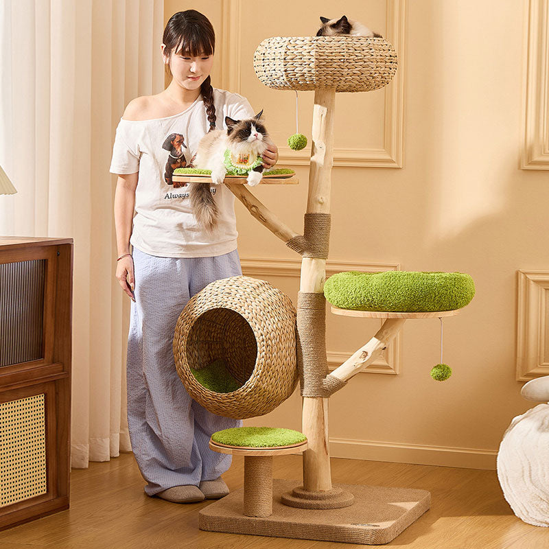 Coconut Grove Solid Wood Cat Climbing Tree