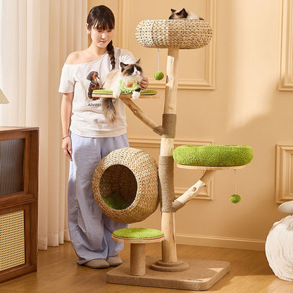 Coconut Grove Solid Wood Cat Climbing Tree