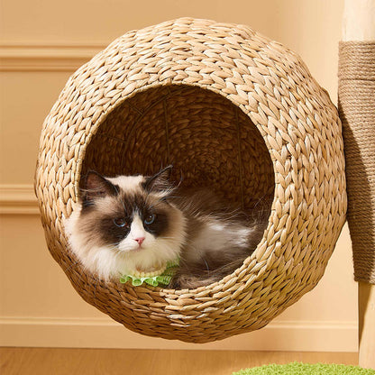 Coconut Grove Solid Wood Cat Climbing Tree
