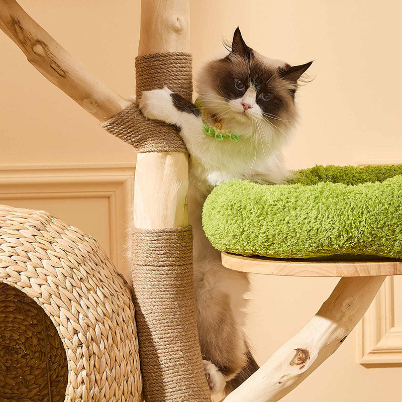 Coconut Grove Solid Wood Cat Climbing Tree