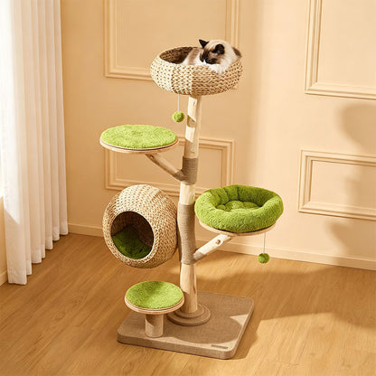 Coconut Grove Solid Wood Cat Climbing Tree