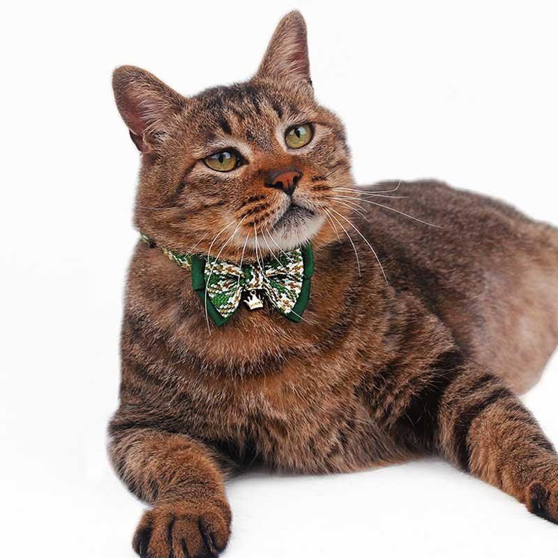 College Style Bow Cat Collar