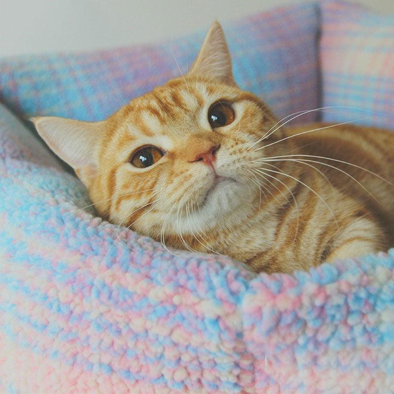 Colorful Plaid Warm Cat Sofa Bed