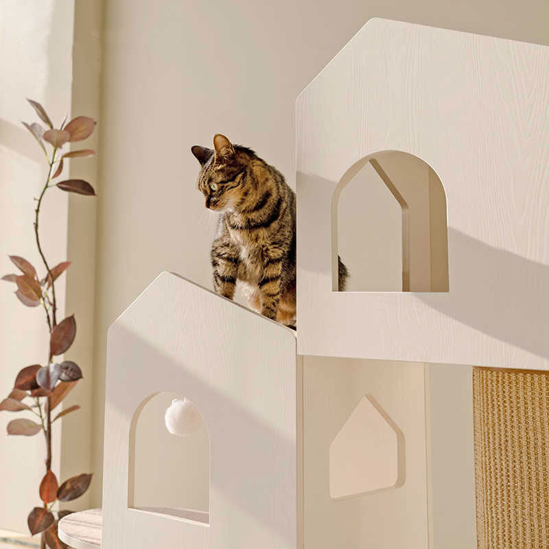 Confession Balloon Large Cat Climbing Tree