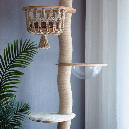 Curved Wood Floor to Ceiling Cat Climbing Tree