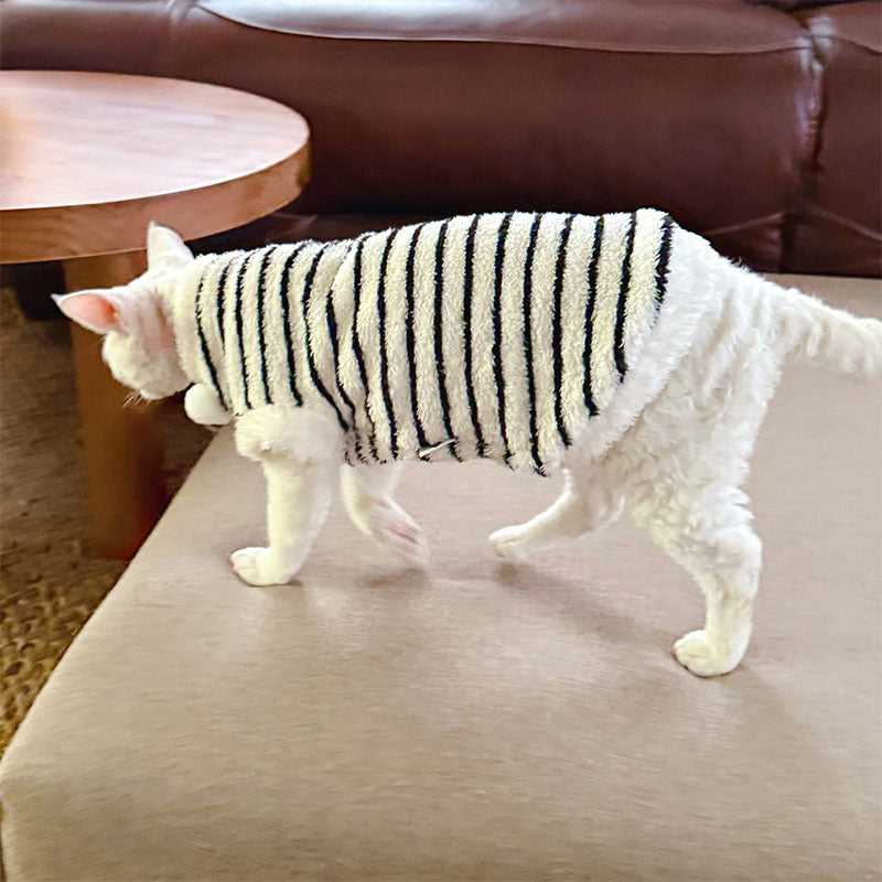 Cute Zebra Stripe Warm Clothes for Hairless Cats