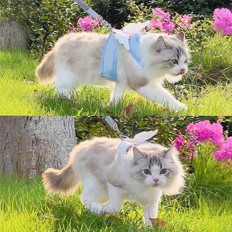 Cute Cat Harness With Wings Leash Set Large Cat Lead