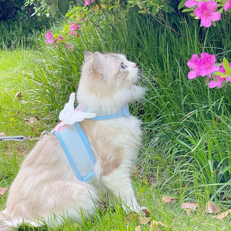 Cute Cat Harness With Wings Leash Set Large Cat Lead